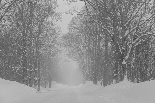 front passenger's view of a rural road covered with snow, with trees on each side, fog and haze present, no traffic