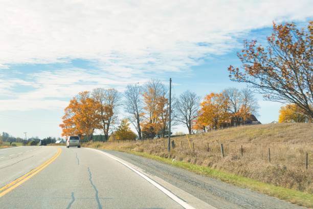 trees next to ontario countryside road lindsay, canada - 21 October 2022: a countryside road in the rural surroundings with fall colored trees lindsay stock pictures, royalty-free photos & images