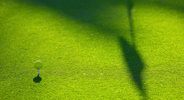 Golf ball on tee near hole and flag on green golf course grass and sun light