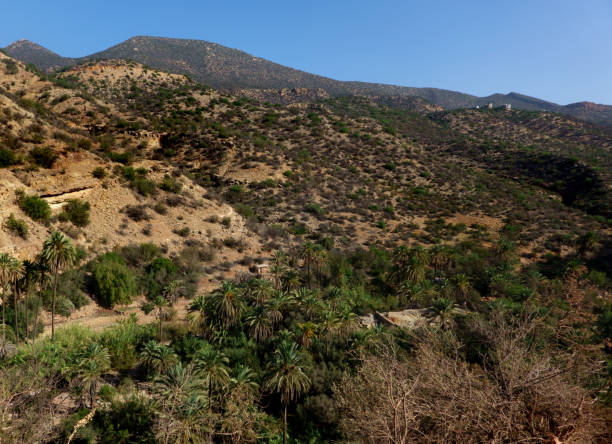 istock Paradise Valley in High Atlas Mountains, Agadir, Morocco 2016395500
