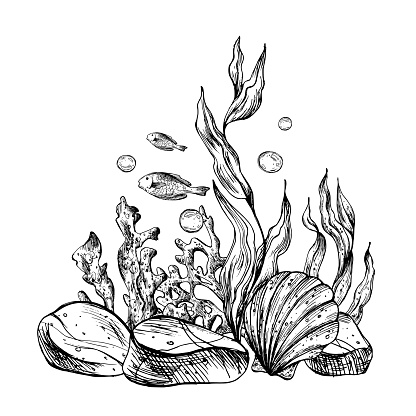 Underwater world clipart with sea animals fish, pebbles, bubbles, coral and algae. Graphic illustration hand drawn in black ink. Composition EPS vector.