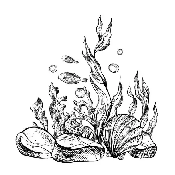 Vector illustration of Underwater world clipart with sea animals fish, pebbles, bubbles, coral and algae. Graphic illustration hand drawn in black ink. Composition EPS vector