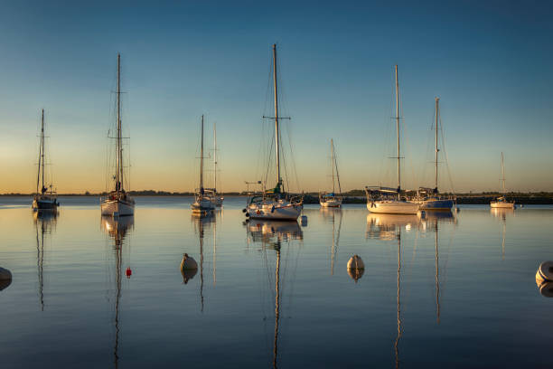 istock Sail into Serenity: Yachts Adrift in the Bay 2016512615