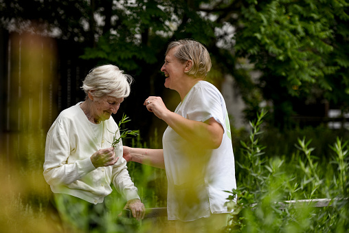 Senior woman with a caregiver in the vegetable garden