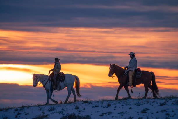 istock Winter Ranch Horse Riding 2016526350