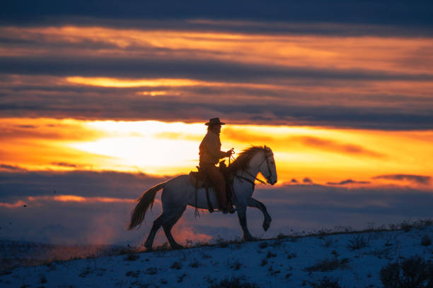 istock Winter Ranch Horse Riding 2016526869