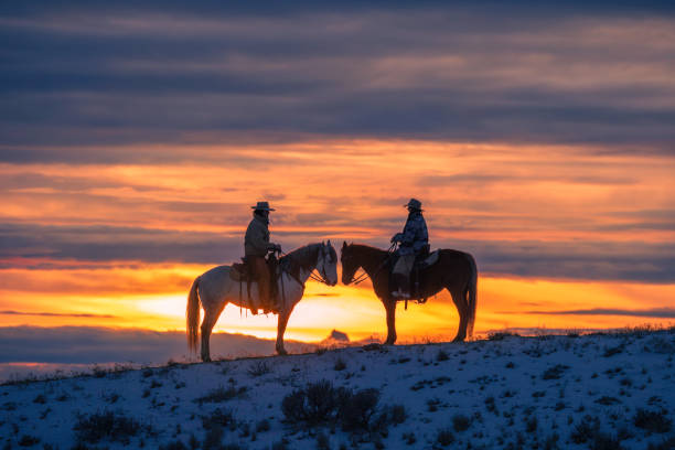 istock Winter Ranch Horse Riding 2016527381