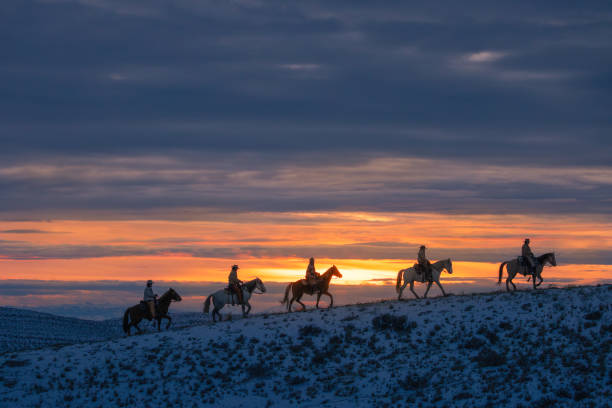 istock Winter Ranch Horse Riding 2016527383