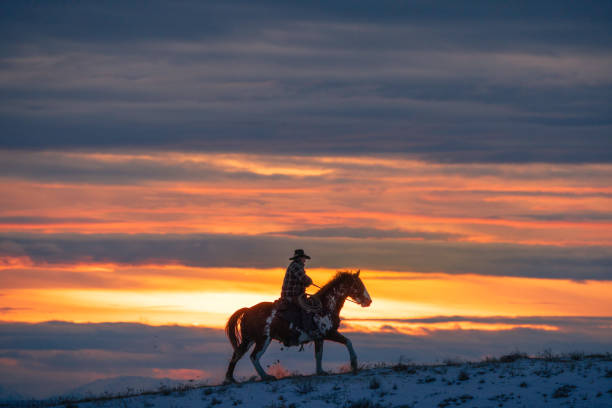 istock Winter Ranch Horse Riding 2016527906