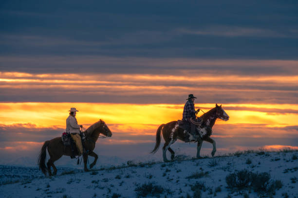 istock Winter Ranch Horse Riding 2016528934