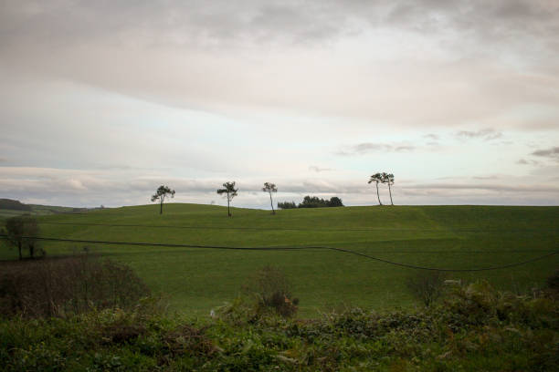 Photo of a landscape in the Alentejo district, South of Portugal.