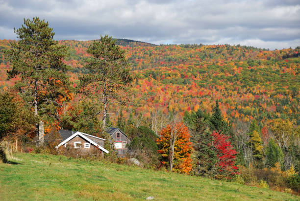 istock village house in autumn mountain forest 2016560972