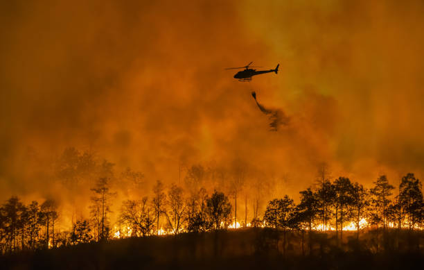 istock Fire fighting helicopter carry water bucket to extinguish the forest fire. 2016576199