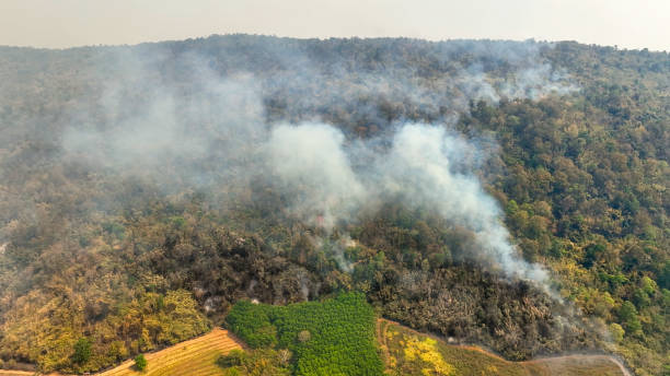 istock Climate change, Agriculture burning release carbon dioxide (CO2) emissions and other greenhouse gases (GHG) that contribute to climate change. 2016577730