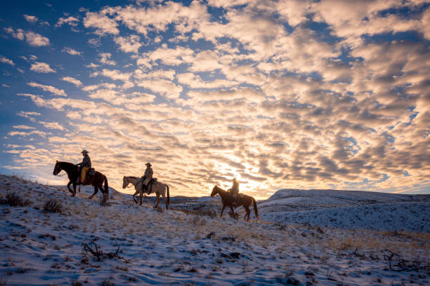 istock Winter Ranch Horse Riding 2016633676