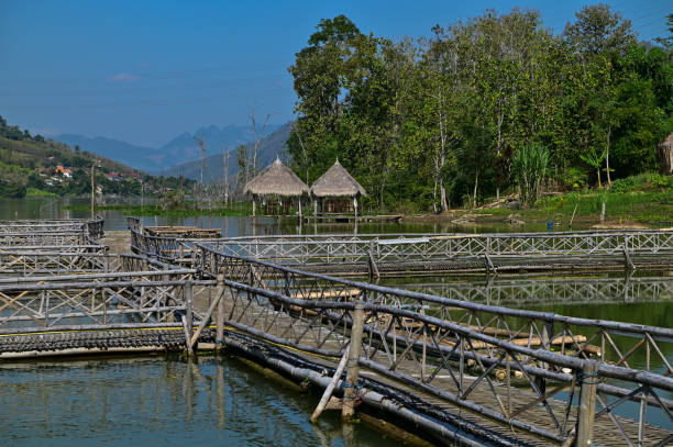 Floating raft houses and Wooden Rural huts in Laos. stock photo