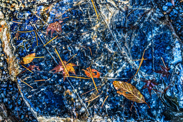 Colorful Stone Walkway Abstract Background Fall Leaves Park Kyoto Japan. Dates to 1397 World Heritage Site.