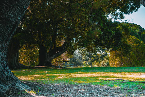 istock Rocky Point Concord West，Australia 2016718246