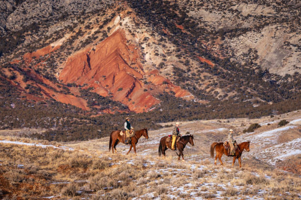 istock Winter Ranch Horse Riding 2016732634