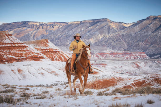 istock Winter Ranch Horse Riding 2016742775