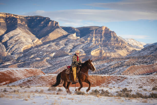 istock Winter Ranch Horse Riding 2016745808