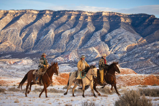 istock Winter Ranch Horse Riding 2016765753