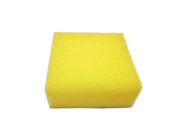Sponge on white background