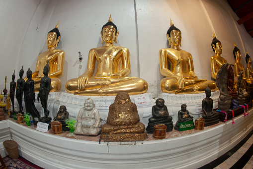 Buddha golden statue sitting and black standing decorated at pavilion for Buddhists to worship inside the Wat Phra Non Chakkasi Worawihan temple. Located at Sing Buri Province in Thailand.