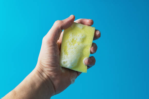 Dish detergent. Washing sponge in a person's hand stock photo