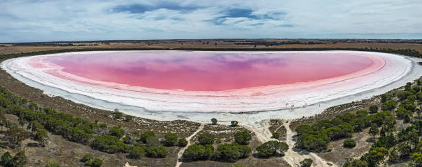 istock Aerial panoramic view Pink Lake in Western Victoria 2017009847
