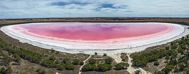 Aerial panoramic view Pink Lake along the Western Highway near Dimboola in Western Victoria. The lake gets its vibrant pink colour from a salt tolerant alga living in the salt crust. The lake is surrounded by low scrubby bushland.