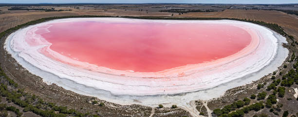 istock Aerial panoramic view Pink Lake in Western Victoria 2017011389