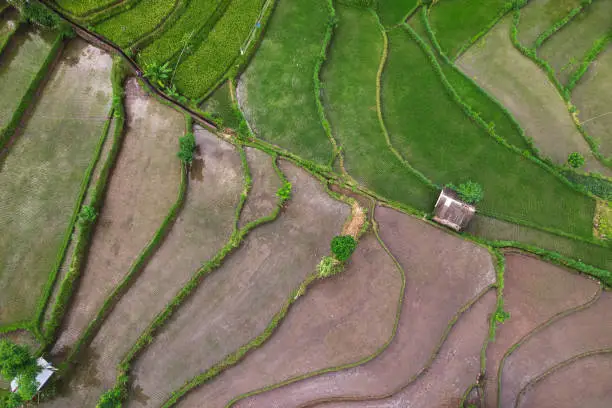 High angle view of the scenic rice terraces in the rural part of Bali in Karangasem District