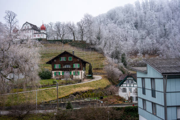 landscape horizontal still from sarnen in switzerland in winter, Sarnen, Switzerland, 2024