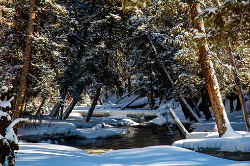 Landscape photo of Lava Creek in Yellowstone Nstional Park in winter.