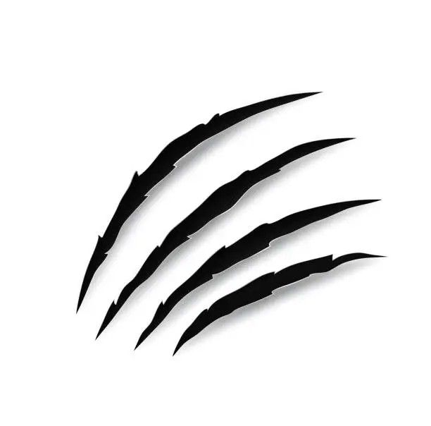 Vector illustration of Monster claw mark scratches, predator 3d nails