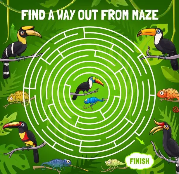 Vector illustration of Labyrinth maze, find way out, toucan and chameleon