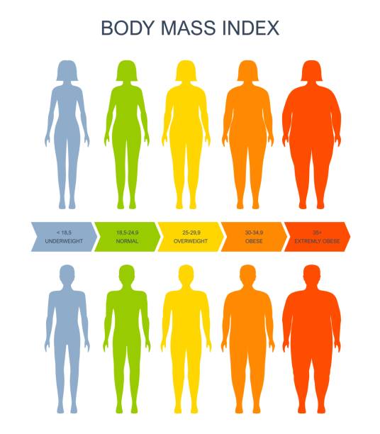 Body mass index chart, BMI of man and woman scale Body mass index chart, man and woman silhouette, vector BMI scale of health, obesity and overweight. Body mass index infographic on female and male fat obese weight and underweight BMI scale slim woman body stock illustrations