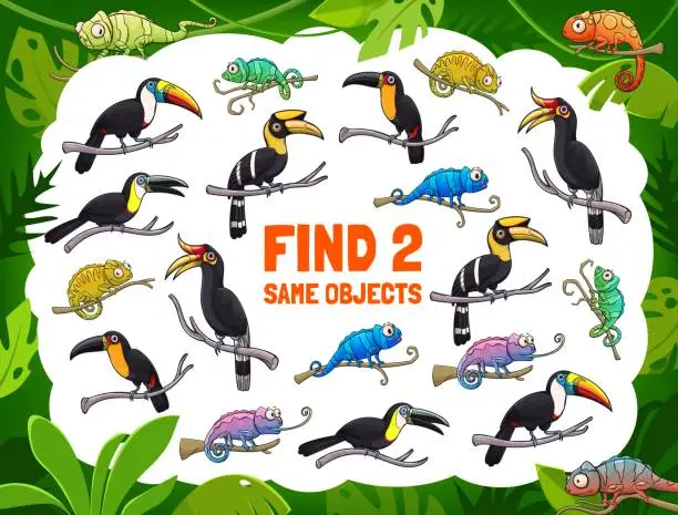 Vector illustration of Find two same toucans and chameleons, kids game