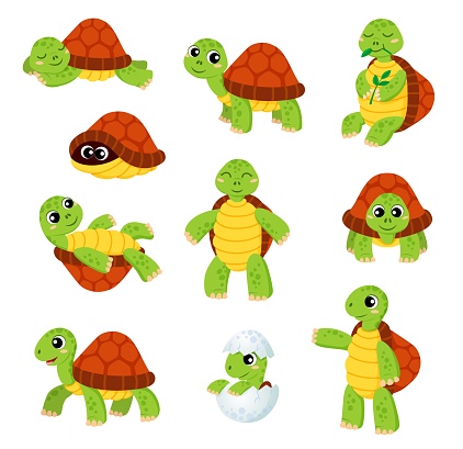 Cartoon turtle characters. Cute tortoise animal vector smiling personages set. Sleeping, eating leaves, hiding in shell funny turtle kids, funny tortoise newborn, baby reptile in egg