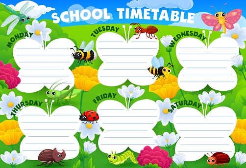 Timetable schedule with cartoon insect characters on summer meadow background frame. Vector school timetable or week schedule of student classes with cute butterfly, ant, bee and ladybug personages