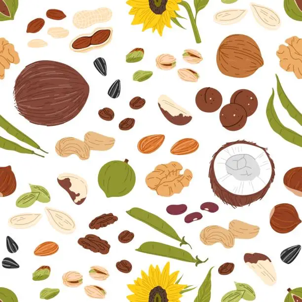 Vector illustration of Nuts, seeds, beans seamless pattern, vector food