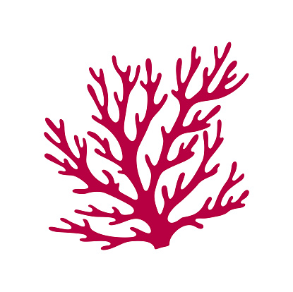 Finger leather coral with sharp edge aquarium and tank tropical decoration. Vector cartoon sea algae icon, underwater plant grown at sea bottom