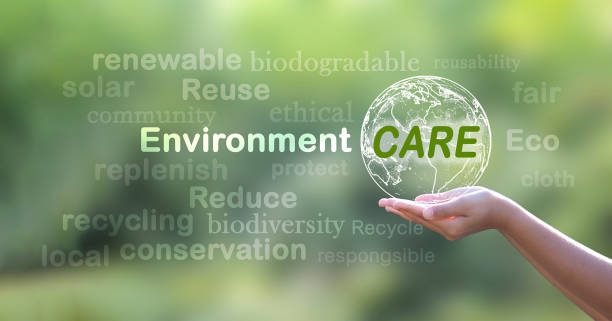 istock Caring for the environment, earth icon Hands on and caring for the earth on green nature background 2017107511
