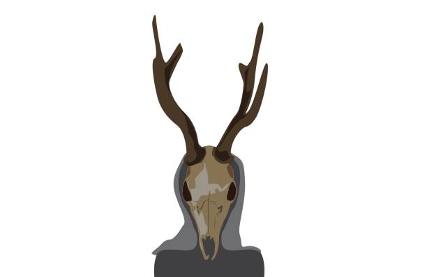 鹿の頭蓋骨の顔と角を持つ女性は、白い空の背�景に隔離されています。 - antler stag trophy animal skull点のイラスト素材／クリップアート素材／マンガ素材／アイコン素材