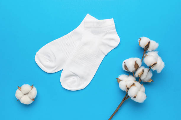 istock White sports socks and a cotton branch on a blue background. 2017163494