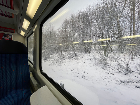 View of the snow-covered forest from the train window.