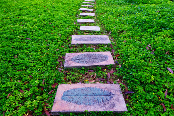 Walkway in the garden with fresh green flowers