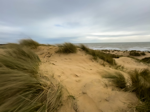 Sand dunes shot on a winters day at the beach