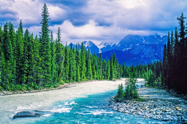 Scenic view at a river in a forest at the mountains